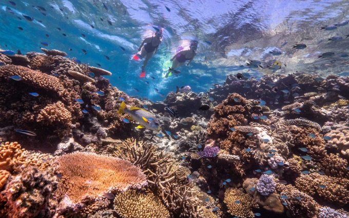AWOL: How To Turn Your Great Barrier Reef Day Trip Into A Weekend Away