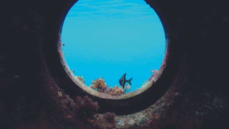 Caravan World Magazine: Enchanting Woody