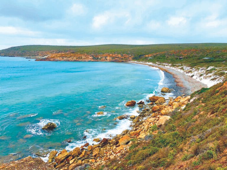 Caravan World Magazine: Beauty And The Ocean Beasts